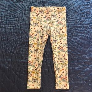 Tea collection leggings